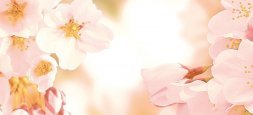 Панно Cherry многоцветное 40х88 (CW2H454D)
